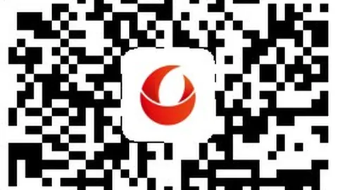 2024年10号秀科迪威廉姆斯：森林狼续约计划曝光，终极指南解析
